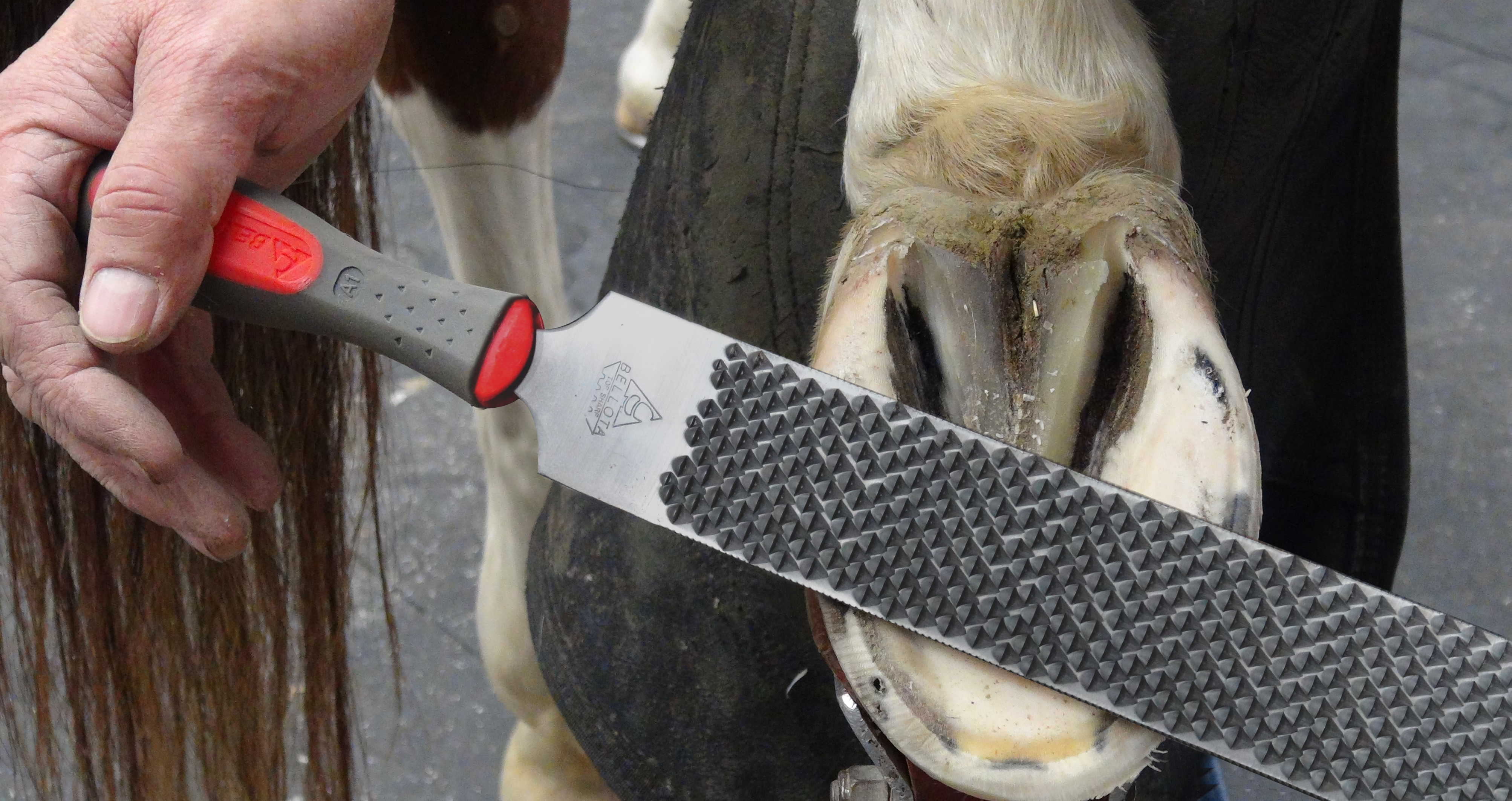 https://www.farrierproducts.com/productguide/product_images/kings.gif